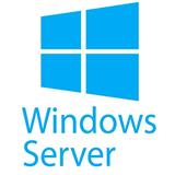 1-pack of Windows Server 2022 Remote Desktop Serv Device Cus Kit