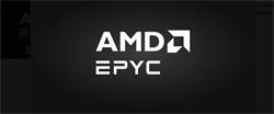 AMD CPU EPYC 8005 Series C24/48T Model 8225P