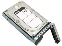 4TB Hard Drive NLSAS 12Gbps 7.2K 512n 3.5in Hot-Plug Customer Kit