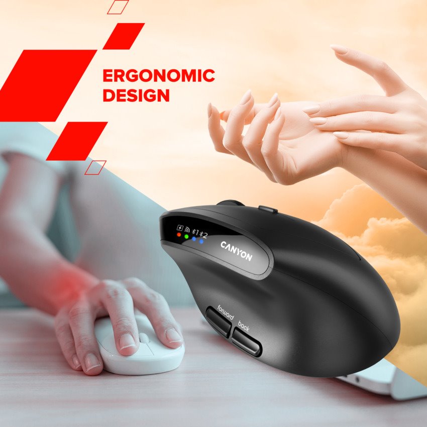 CANYON mouse MW-25 Ergonomic LED AA Dual mode Wireless Black