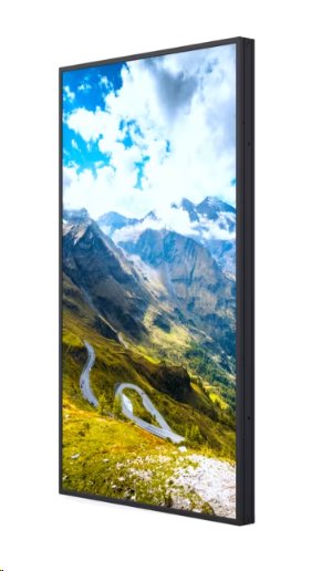 Hisense 49WF35M, 49” Window Facing - High Brightness Display