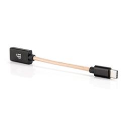 iFi Type-C OTG cable