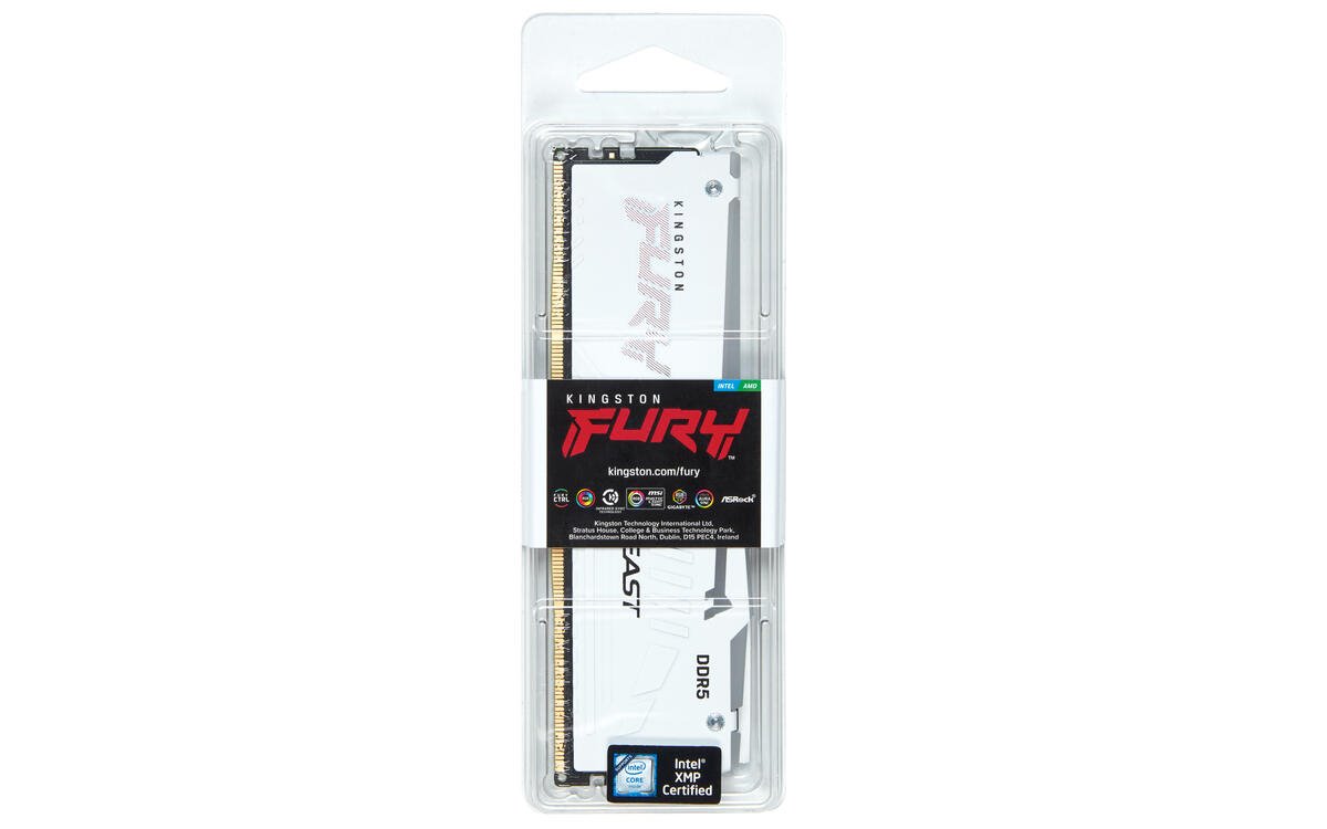 Kingston FURY Beast DDR5 16GB 6400MT/s DIMM CL32 RGB EXPO White