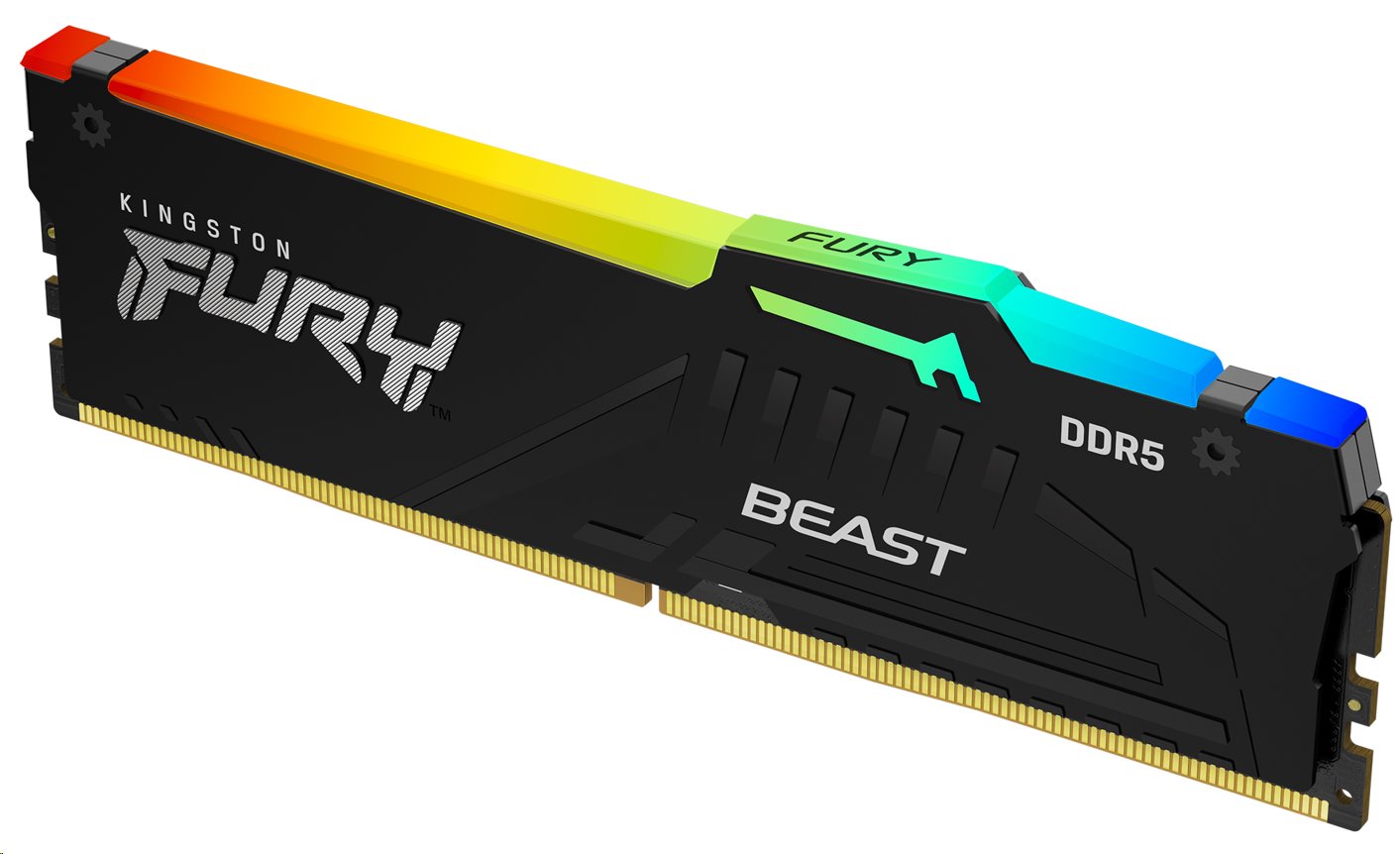 Kingston FURY Beast DDR5 8GB 5600MHz DIMM CL40 RGB