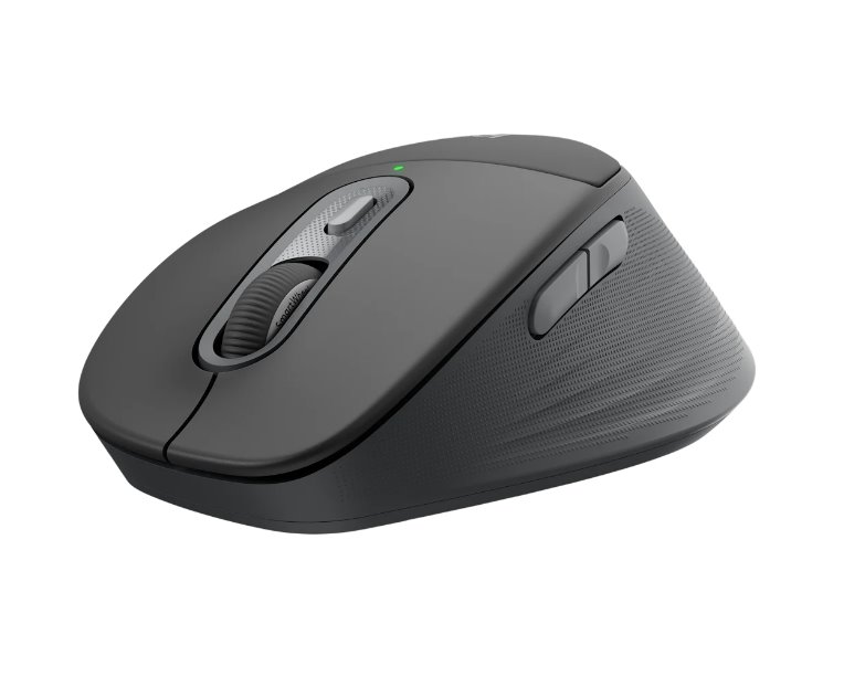 Logitech Signature M850 L Wireless Mouse for Business - GRAPHITE - EMEA