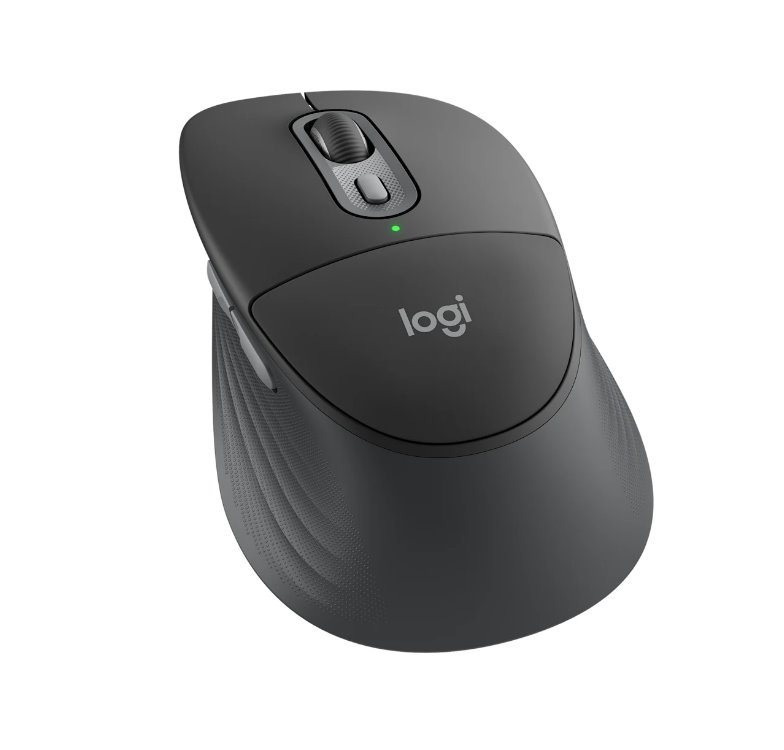 Logitech Signature M850 L Wireless Mouse for Business - GRAPHITE - EMEA