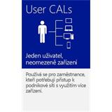 MS DOEM Windows Server® 2022 Client Access License (5 User)