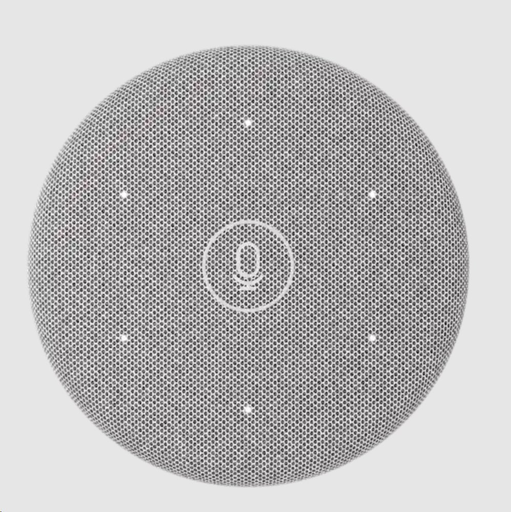 Rally Mic Pod 2 - OFF-WHITE