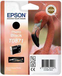 Epson inkoust SP R1900 photo black