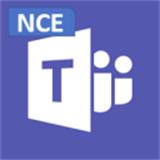 Microsoft Microsoft Teams Phone Standard (Commercial/License/Annual/P1Y)
