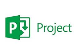 Microsoft Project Online Essentials (Commercial/License/Monthly/P1M)