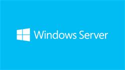Microsoft Windows Server 2022 Remote Desktop Services - 1 User CAL 1 Year (Commercial/Subscription/Annual/P1Y)