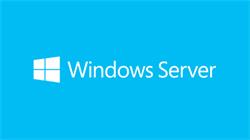 Microsoft Windows Server 2022 Remote Desktop Services - 1 User CAL (Commercial/Perpetual/OneTime/)