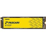 Pascari interní SSD 480GB B-Series Boot Drive B100P PCIe4.0 M.2 2280 Single Port Non-SED TLC (č/z:4000/300MB/s)