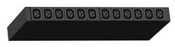 Raritan Outlet Metered/Switched PDU 1U, 12x C13; vstup: 1F/16A kabel 3m vidlice IEC 60309