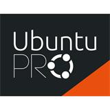 Ubuntu Pro Infra Support (24x7) - Fyzický server / Hypervisor
