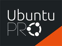 Ubuntu Pro Infra Support (weekday) - Virtual